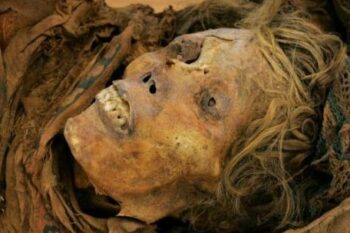 IL PROCESSO DI DISIDRATAZIONE DOPO LA MORTE